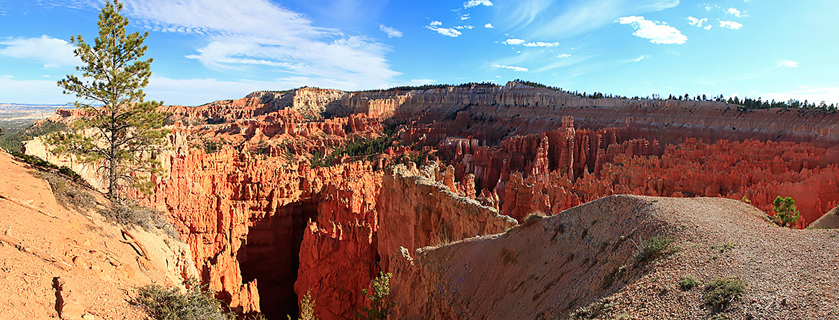 [Group-10]- MG 3018  MG 3022-5-images